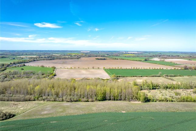 Manor and Field Farms,, Fowlmere, Cambridgeshire photo 3