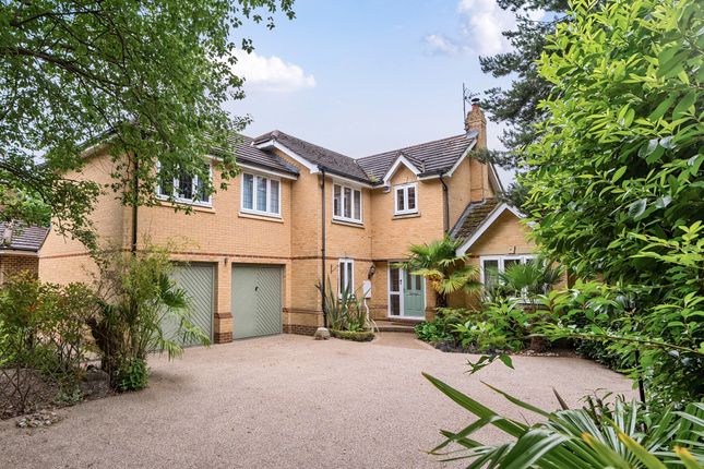 Thumbnail Detached house for sale in Soper Drive, Caterham