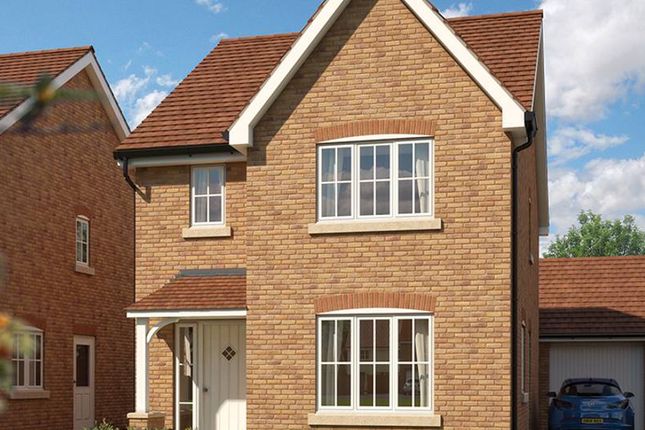 Thumbnail Detached house for sale in "Cypress" at Wookey Hole Road, Wells, Somerset