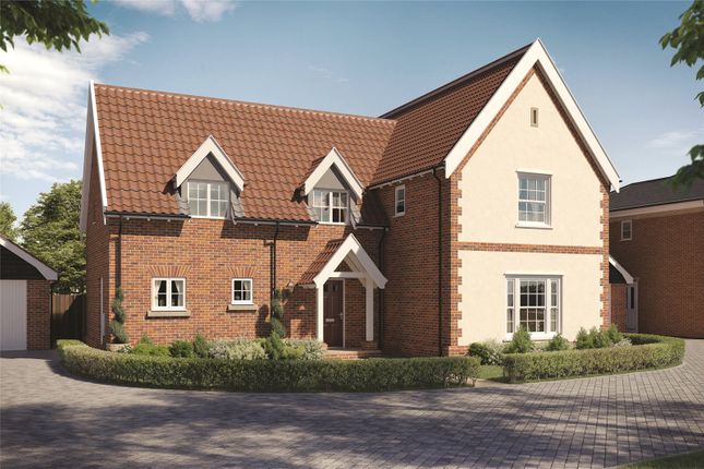 Thumbnail Detached house for sale in Lark Grove, Somersham, Ipswich