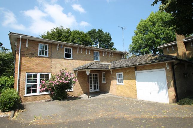 Thumbnail Detached house to rent in Malford Grove, South Woodford