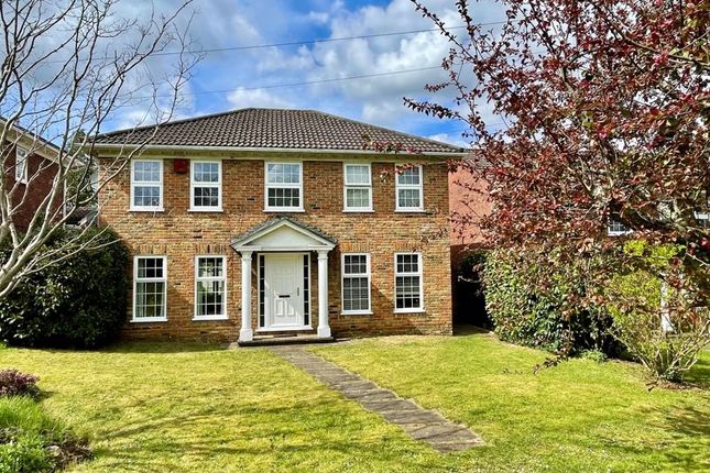 Thumbnail Detached house for sale in The Cedars, Milford, Godalming