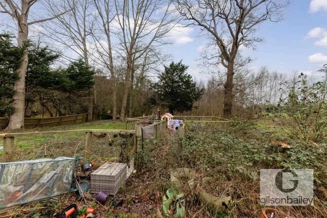 22, Cromer Road, Norwich photo 4