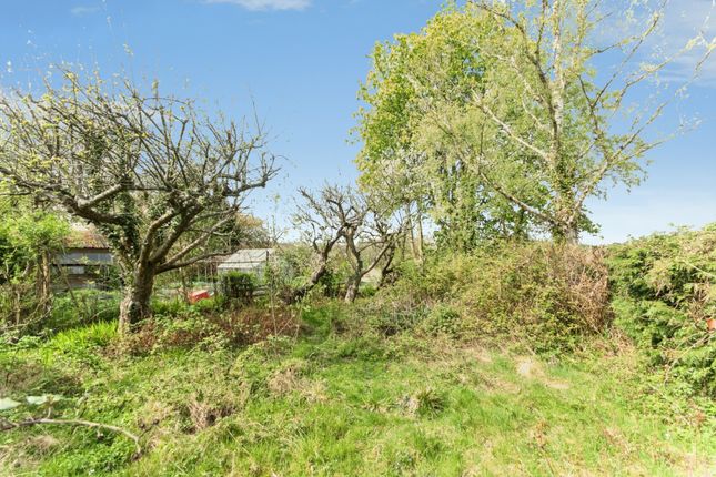 41, Shrub Lane, Etchingham photo 4