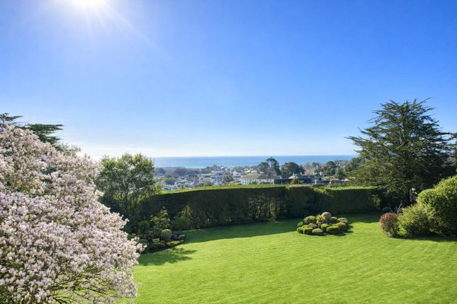 1, Sidmount, Sidmouth photo 2