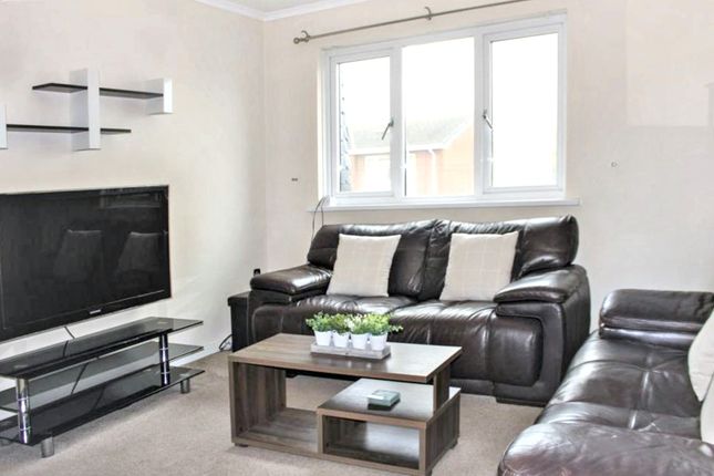 Pembroke Mews, Cardiff photo 3