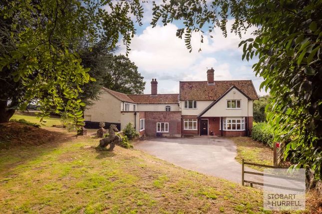 Thumbnail Detached house for sale in Burgate Hill, Newton Road, Hainford, Norfolk