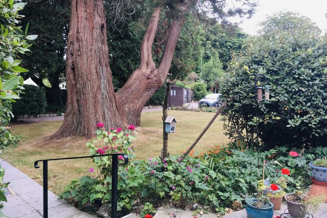 Ground Floor Flat With Parking