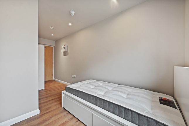 Cs - Shady Lane - 12 (1)