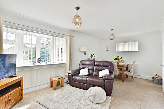50, Wisteria Avenue, Lincoln photo 2