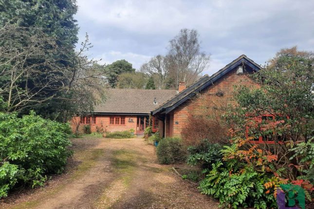 Thumbnail Detached bungalow for sale in Danesborough Drive, Aspley Heath