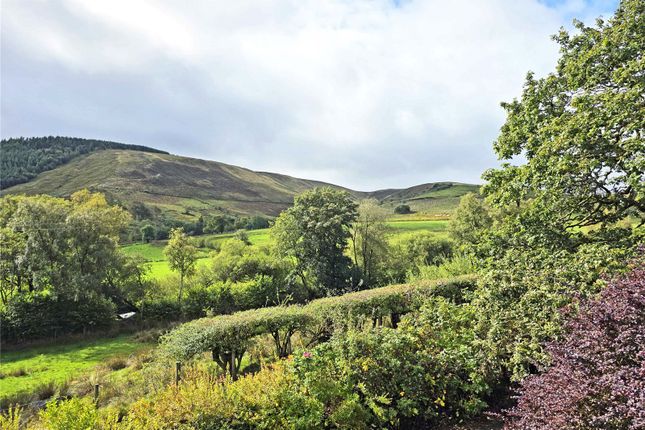 Ty Clyd,, Abergwesyn, Llanwrtyd Wells photo 3