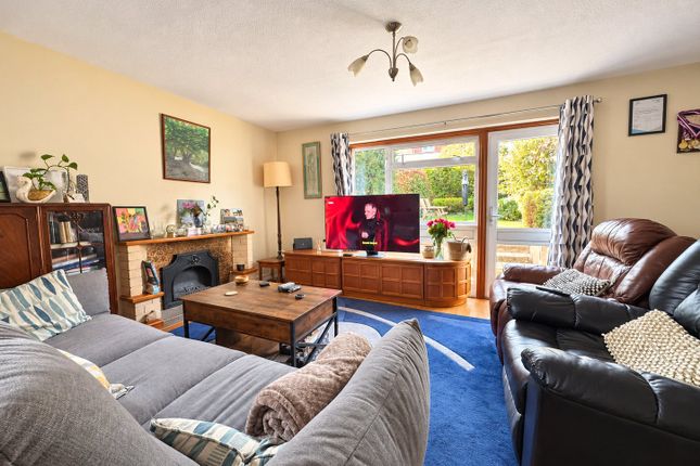 Rushden Way, Farnham photo 2