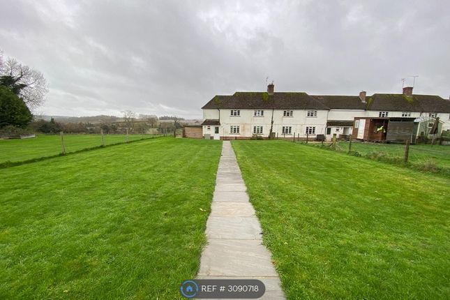 Linkenholt, Andover photo 3