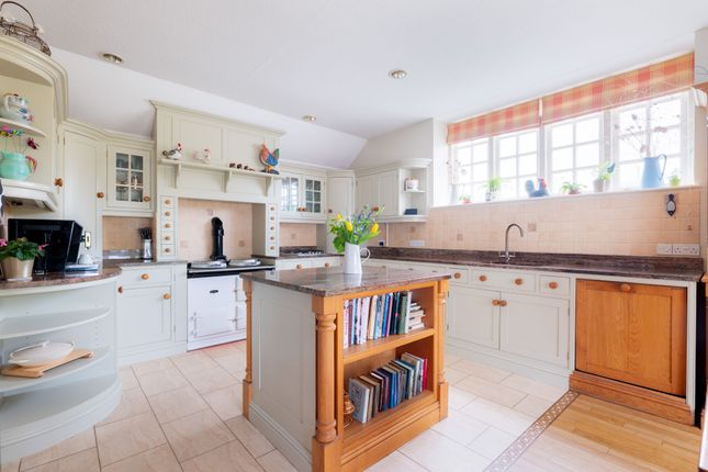 6814Ca20E99B5_Cockmoyle-10
