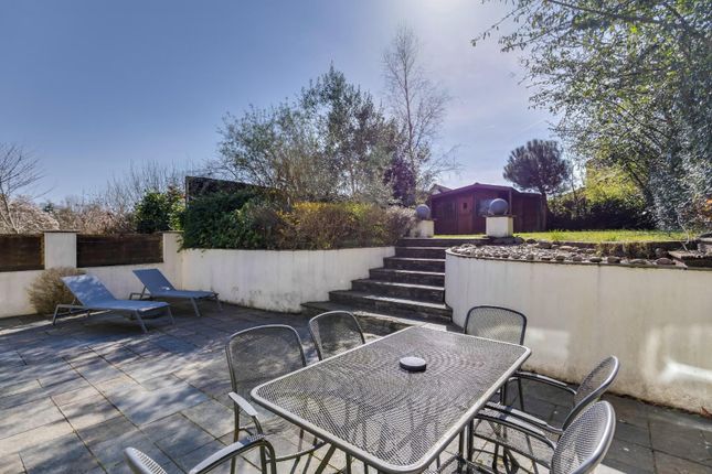 Rear Patio Area