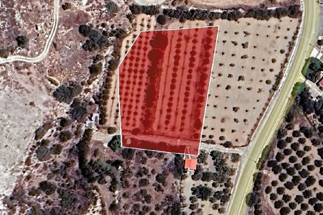 Land for sale in Psematismenos, Cyprus