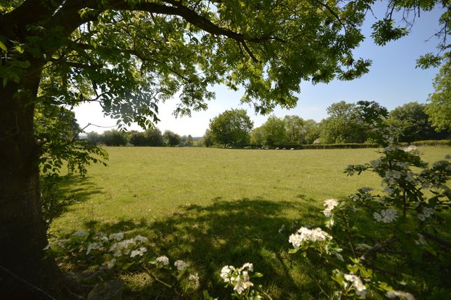 Paddock Land