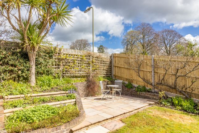 Detached bungalow to rent in Sun Hill Crescent, Alresford, Hampshire