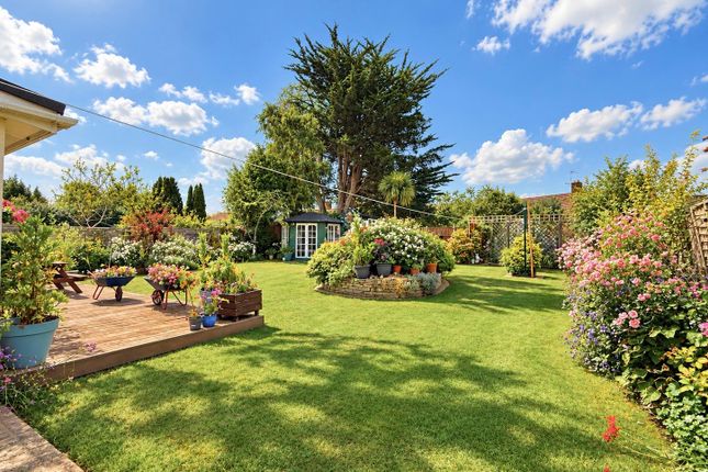 Ringwood photo 4