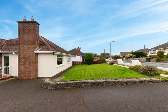 10 Dorrandale Road, Newtownards photo 4