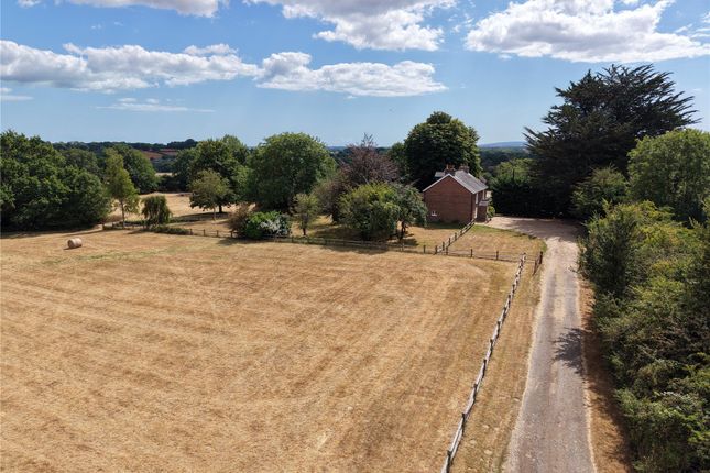 Holmbush Farm,, North Street, Hailsham photo 4