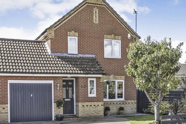 Thumbnail Detached house for sale in Snowdrop Drive, Attleborough