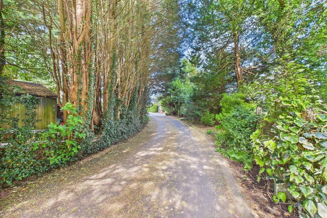Driveway