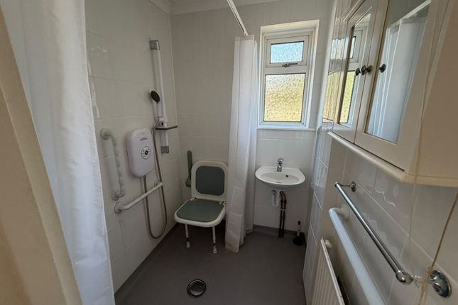 Chestnut Grove, Bognor Regis photo 2