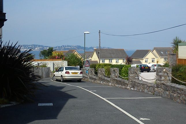 Paignton photo 3