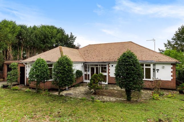 3-bed house on 15A, Box Ridge Avenue, Purley, £2,550/mo