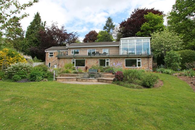 Thumbnail Detached house for sale in Leys Hill, Walford, Ross-On-Wye