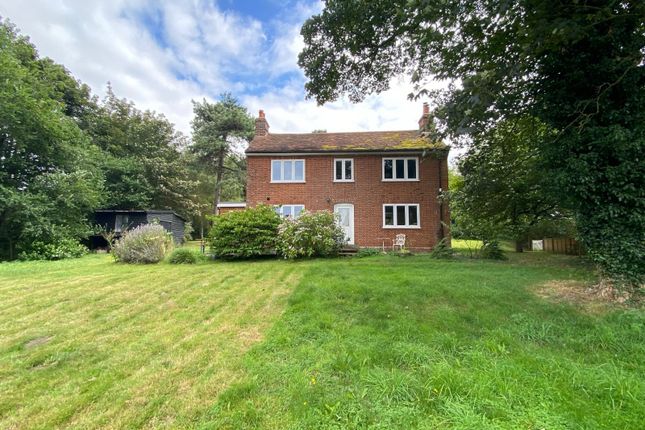 Detached house to rent in Ramsholt, Woodbridge, Suffolk