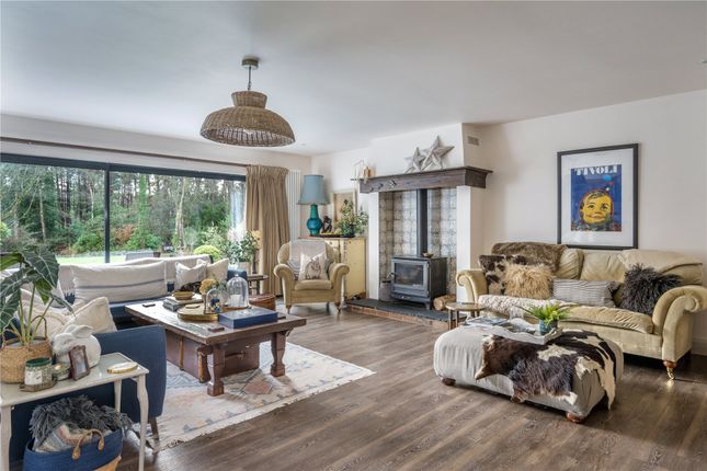 Copse Wood, 56, Kingswood Firs, Hindhead photo 3