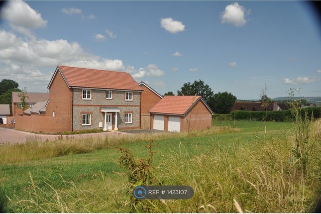 Thumbnail Detached house to rent in Shutewater Orchard, Taunton