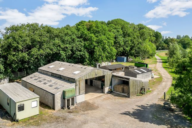 Dumble End Farm,, Dumble End Farm, Southwell photo 3
