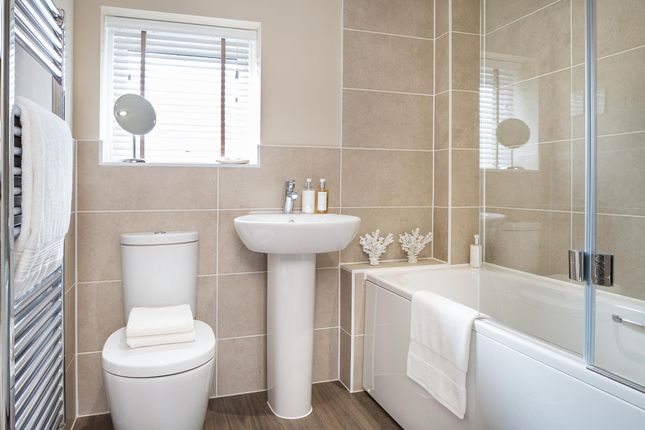 Semi-detached house for sale in "Ashdown" at Moores Lane, East Bergholt, Colchester