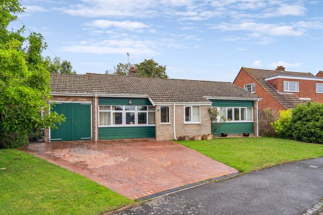 Thumbnail Detached bungalow for sale in The Croft, Harwell