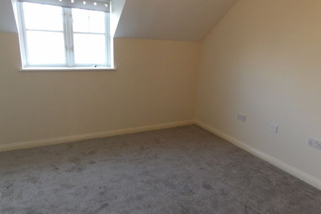 67, Nottingham photo 4