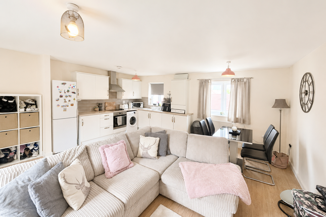 8, Mead Cross, Exeter photo 4