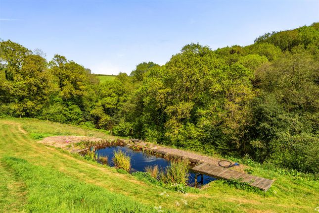 Fursham Down Farm, Crediton photo 4
