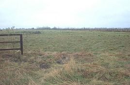 Land for sale in Langwood Hill Drove, Chatteris