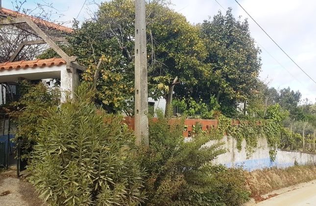 Farmhouse for sale in Pedrógão Grande, Pedrógão Grande (Parish), Pedrógão Grande, Leiria, Central Portugal