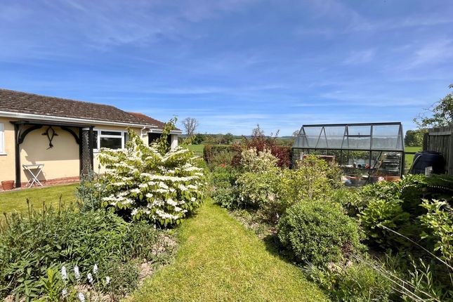 Bungalow for sale in St Michaels Avenue, Kingsland, Herefordshire