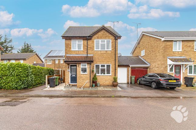 Thumbnail Detached house for sale in Wethersfield Way, Wickford