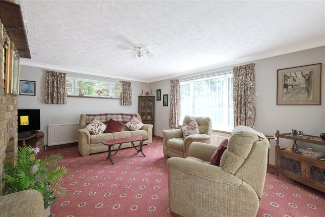 23, Beacon Hill, Witham photo 3