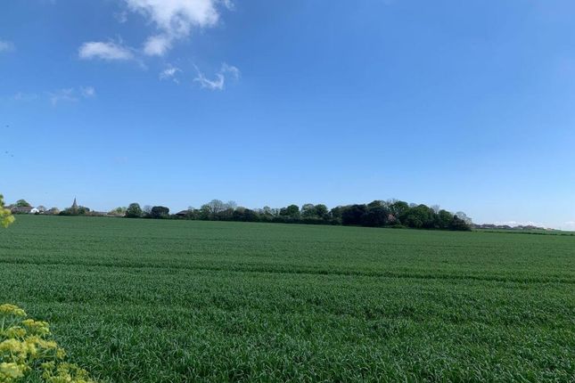 85, Belmont Road, Kent photo 4