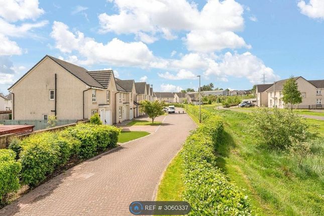 Bathgate photo 3