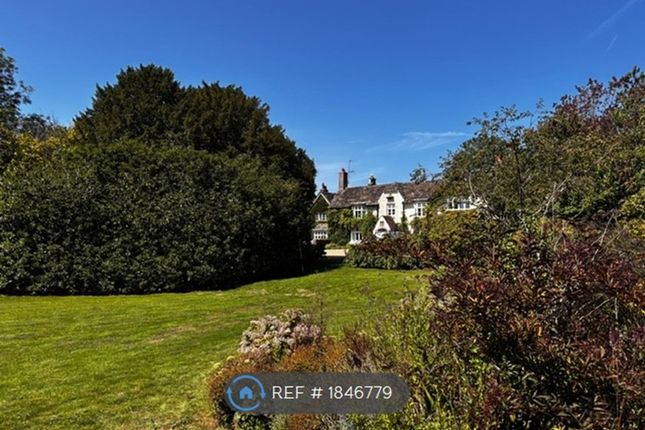 View From The Garden 2