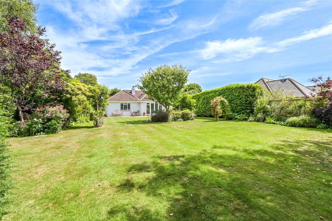 Penmayne Cottage,, Martins Lane, Chichester photo 3